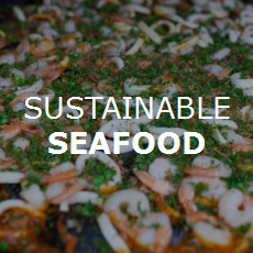 Sustainable Seafood Paella